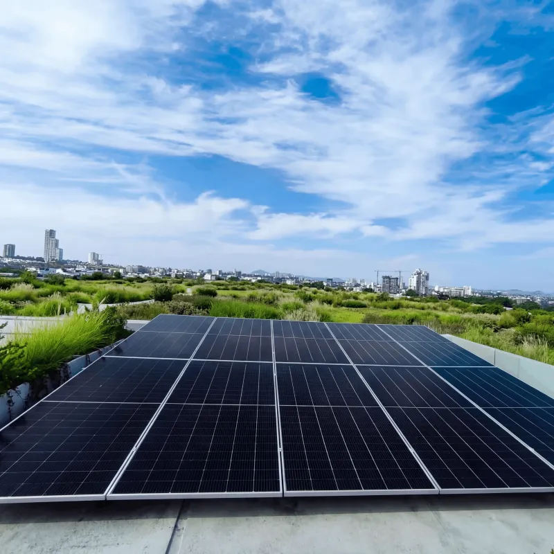 Paneles solares comerciales Guadalajara